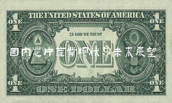 国内芯片产业现状与未来展望