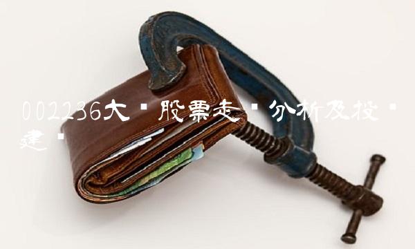 002236大华股票走势分析及投资建议