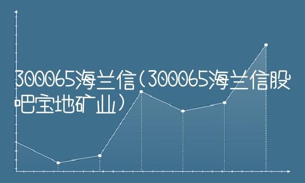 300065海兰信(300065海兰信股吧宝地矿业)