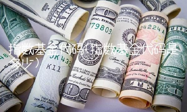 指数基金代码(指数基金代码是多少)
