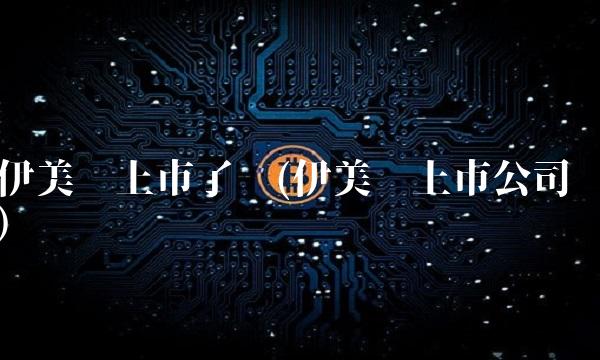 伊美尔上市了吗(伊美尔上市公司)