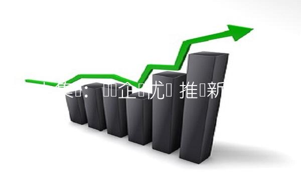 庞大集团：发挥企业优势 推动新经济发展