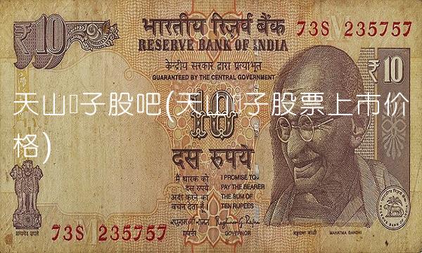 天山电子股吧(天山电子股票上市价格)(1)