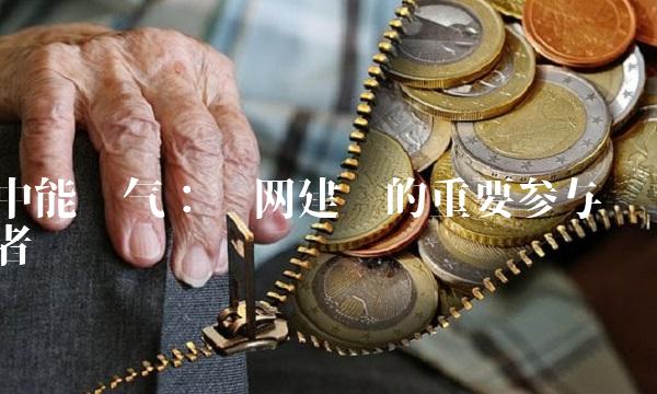中能电气：电网建设的重要参与者