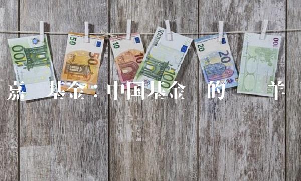嘉实基金：中国基金业的领头羊