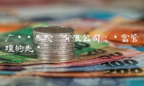 广东证券股份有限公司：财富管理的先锋