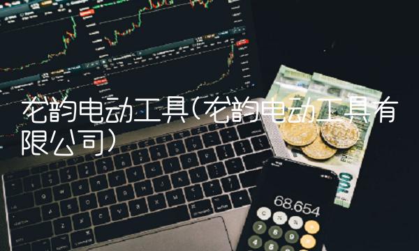 龙韵电动工具(龙韵电动工具有限公司)