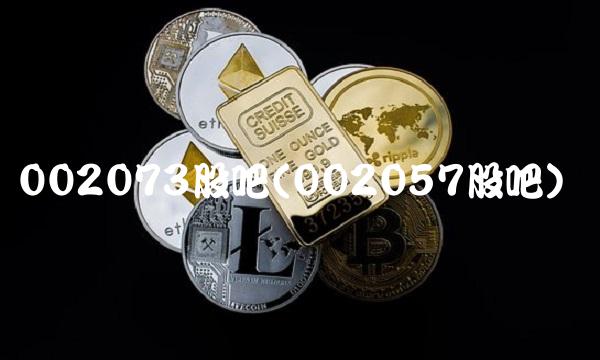 002073股吧(002057股吧)