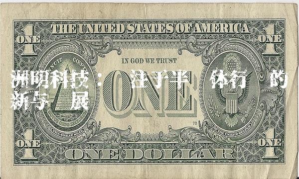 洲明科技：专注于半导体行业的创新与发展