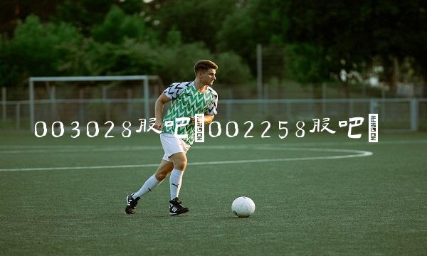 003028股吧(002258股吧)