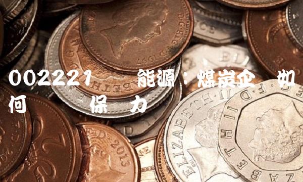 002221东华能源：煤炭企业如何应对环保压力