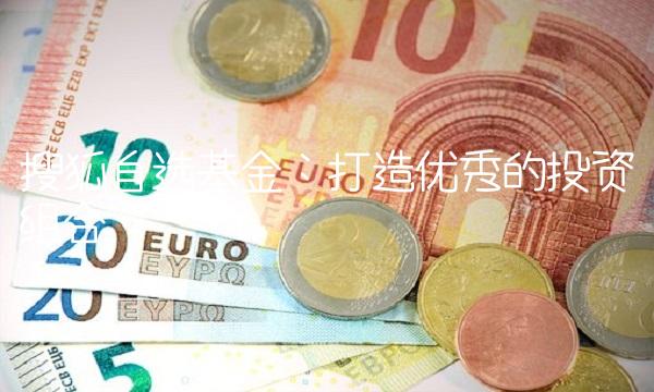 搜狐自选基金：打造优秀的投资组合