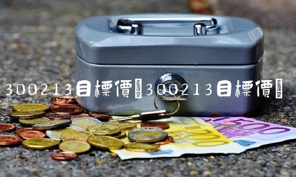 300213目标价(300213目标价)(1)