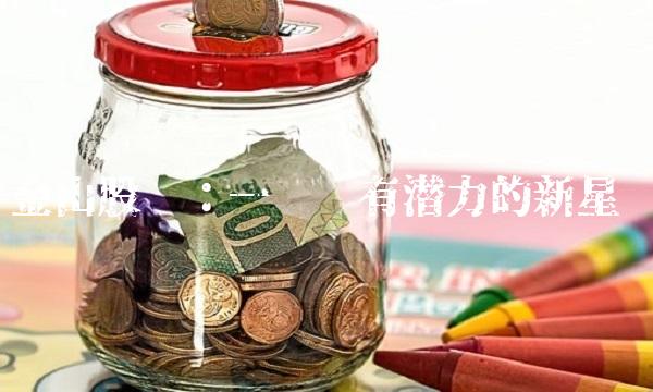 金山股份：一颗颇有潜力的新星
