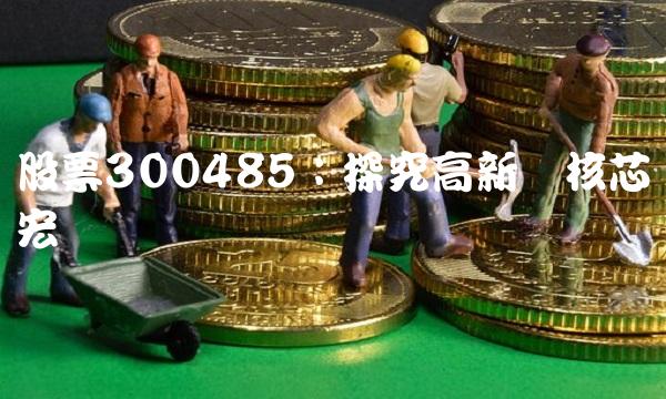 股票300485：探究高新区核芯宏观产业