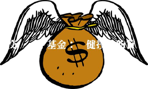 交银蓝筹基金：稳健投资的首选(1)