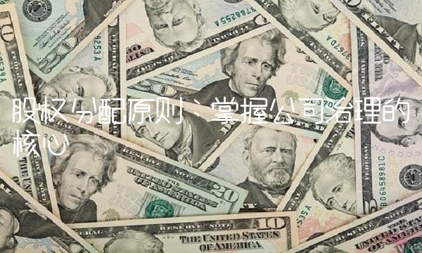 股权分配原则：掌握公司治理的核心