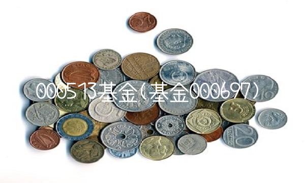 000513基金(基金000697)