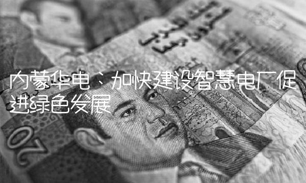 内蒙华电：加快建设智慧电厂促进绿色发展