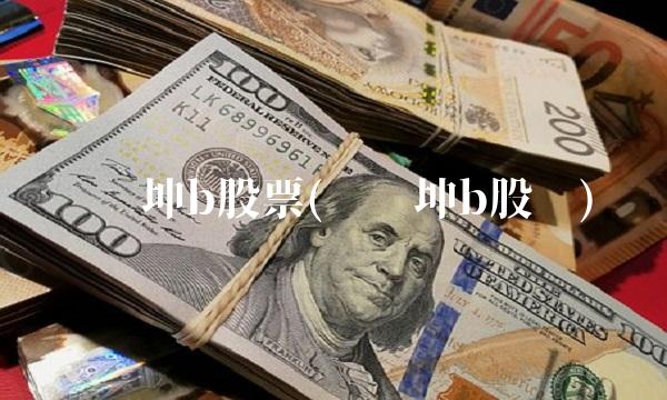 闽灿坤b股票(闽灿坤b股吧)