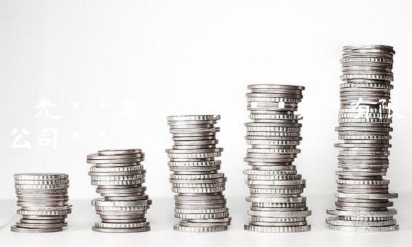 阳光龙净集团(阳光龙净集团有限公司财报)