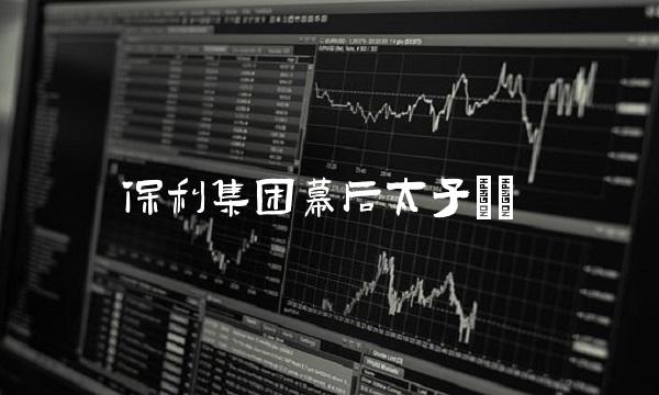 保利集团幕后太子()
