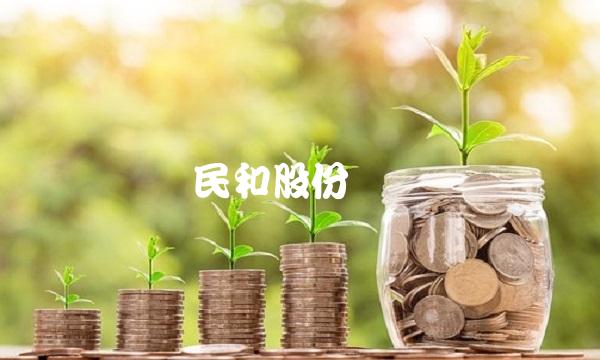 民和股份财报