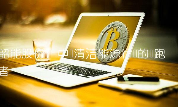 韶能股份：中国清洁能源行业的领跑者