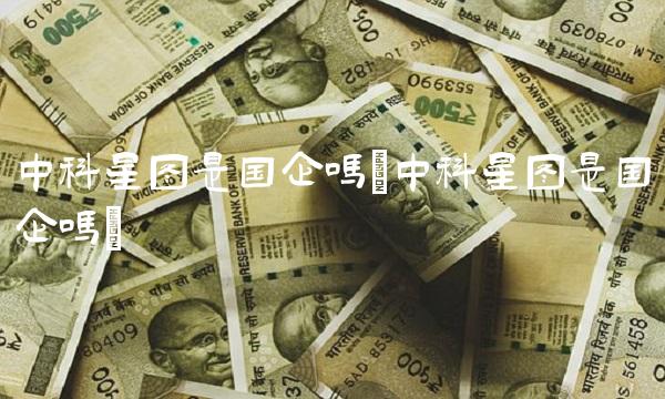 中科星图是国企吗(中科星图是国企吗)