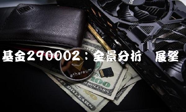 基金290002：全景分析与展望