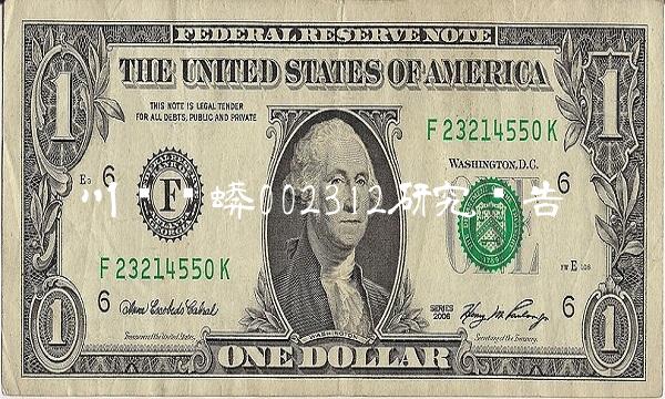 川发龙蟒002312研究报告