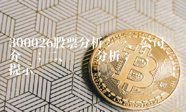 300026股票分析：一、公司业务介绍；二、财务分析；三、风险提示。