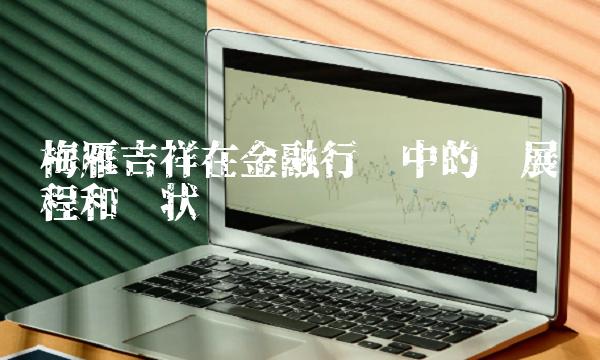 梅雁吉祥在金融行业中的发展历程和现状