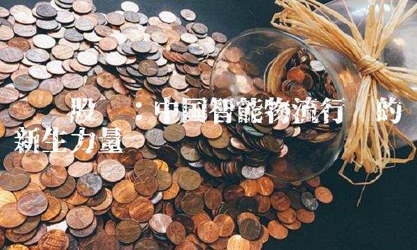 丰华股份：中国智能物流行业的新生力量