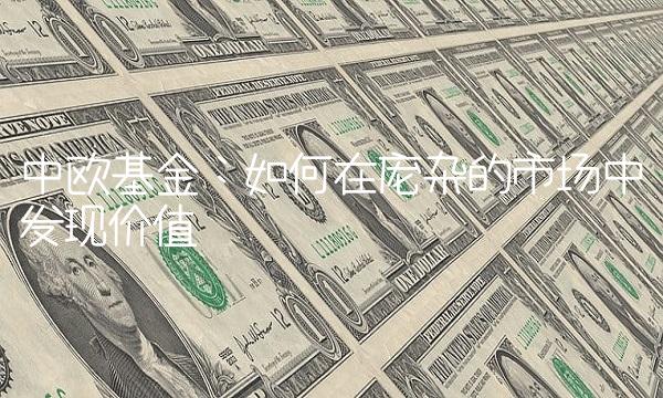 中欧基金：如何在庞杂的市场中发现价值
