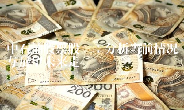 中石油股票股吧：分析当前情况与展望未来走势