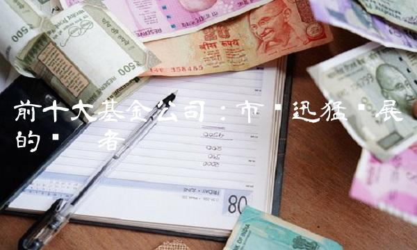 前十大基金公司：市场迅猛发展的领跑者