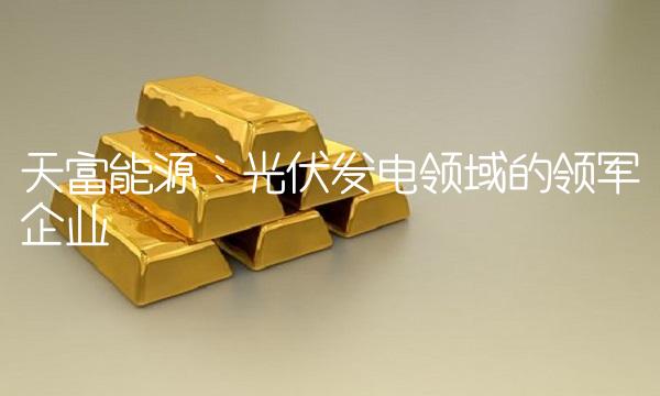 天富能源：光伏发电领域的领军企业