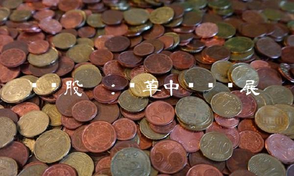 华发股份：变革中强势发展