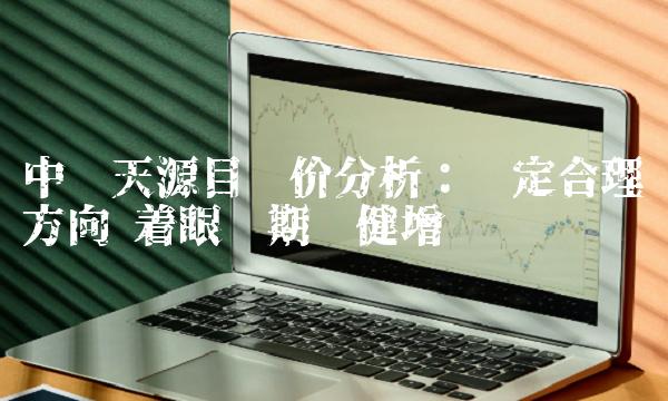 中钢天源目标价分析：确定合理方向 着眼长期稳健增长