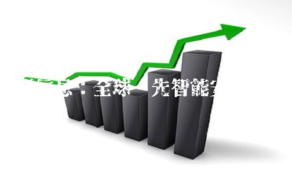 启明信息：全球领先智能安全公司