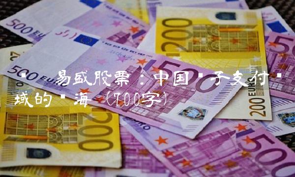 泽达易盛股票：中国电子支付领域的蓝海（700字）