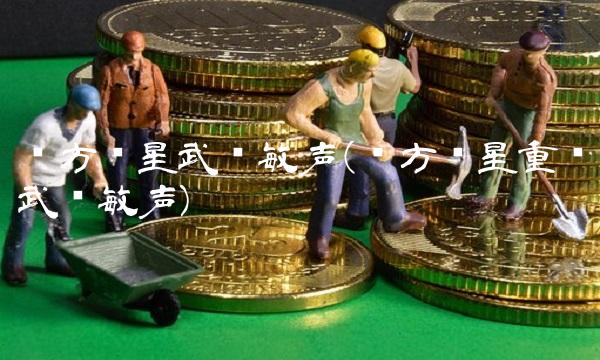 东方银星武汉敏声(东方银星重组武汉敏声)