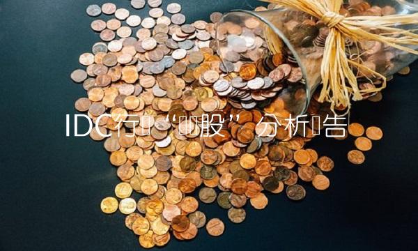 IDC行业龙头股分析报告