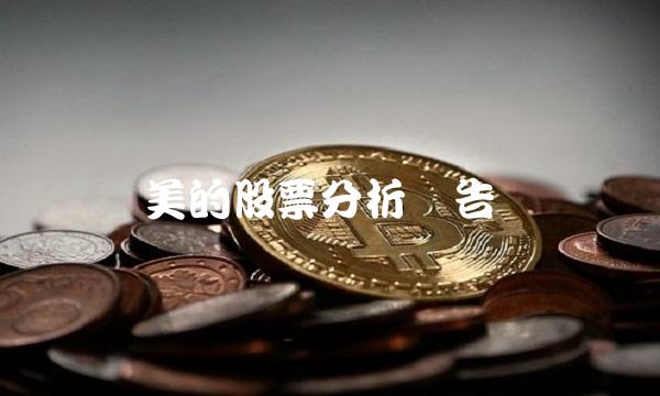美的股票分析报告(1)