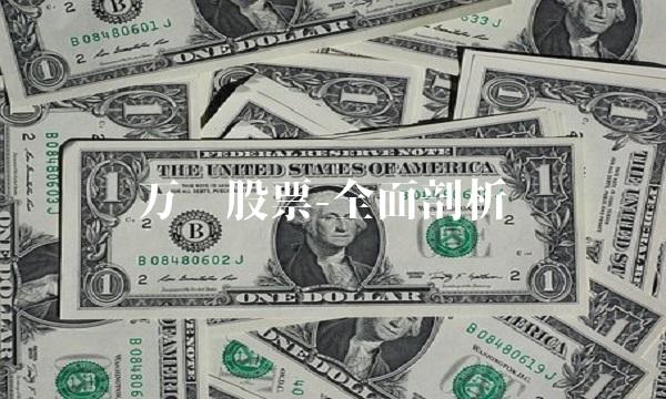 万达股票-全面剖析