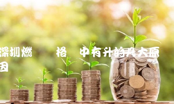 深圳燃气价格稳中有升的几大原因