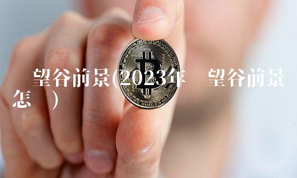 远望谷前景(2023年远望谷前景怎样)(1)