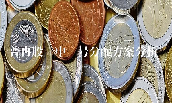 普冉股份中签号分配方案分析