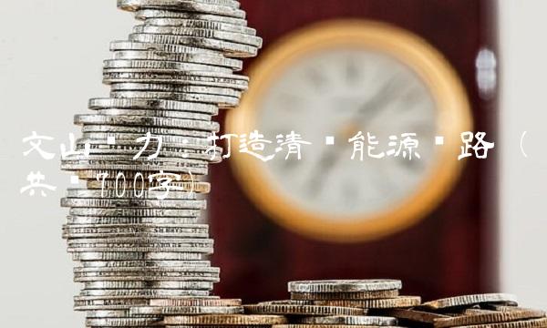 文山电力：打造清洁能源线路（共计700字）